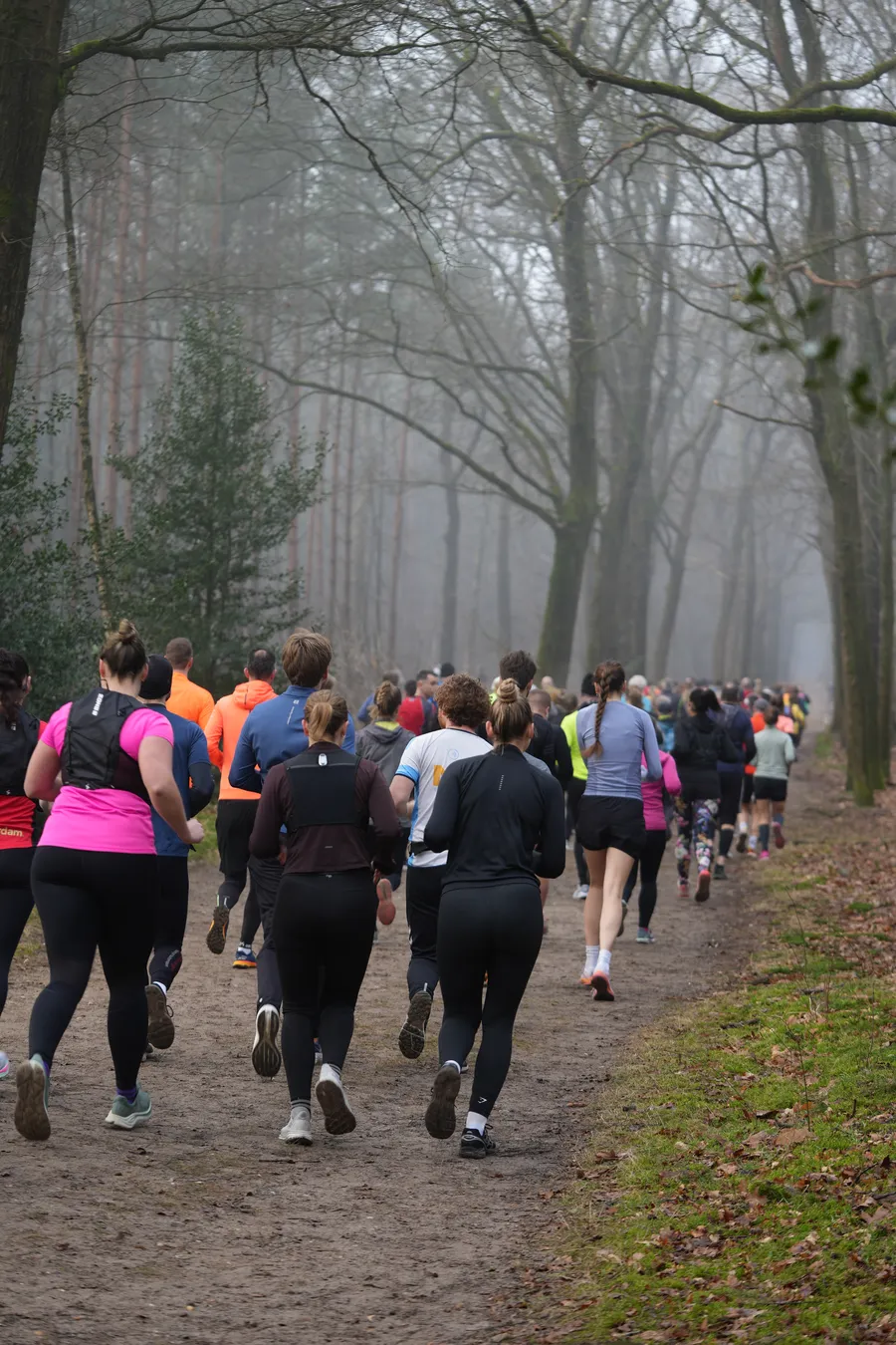 Peloton het bos in