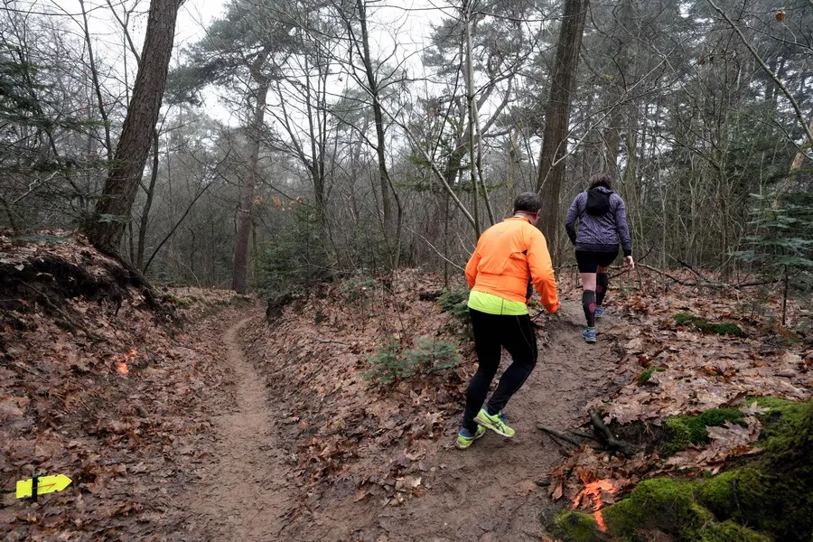 Oranje hesje op de modderhelling